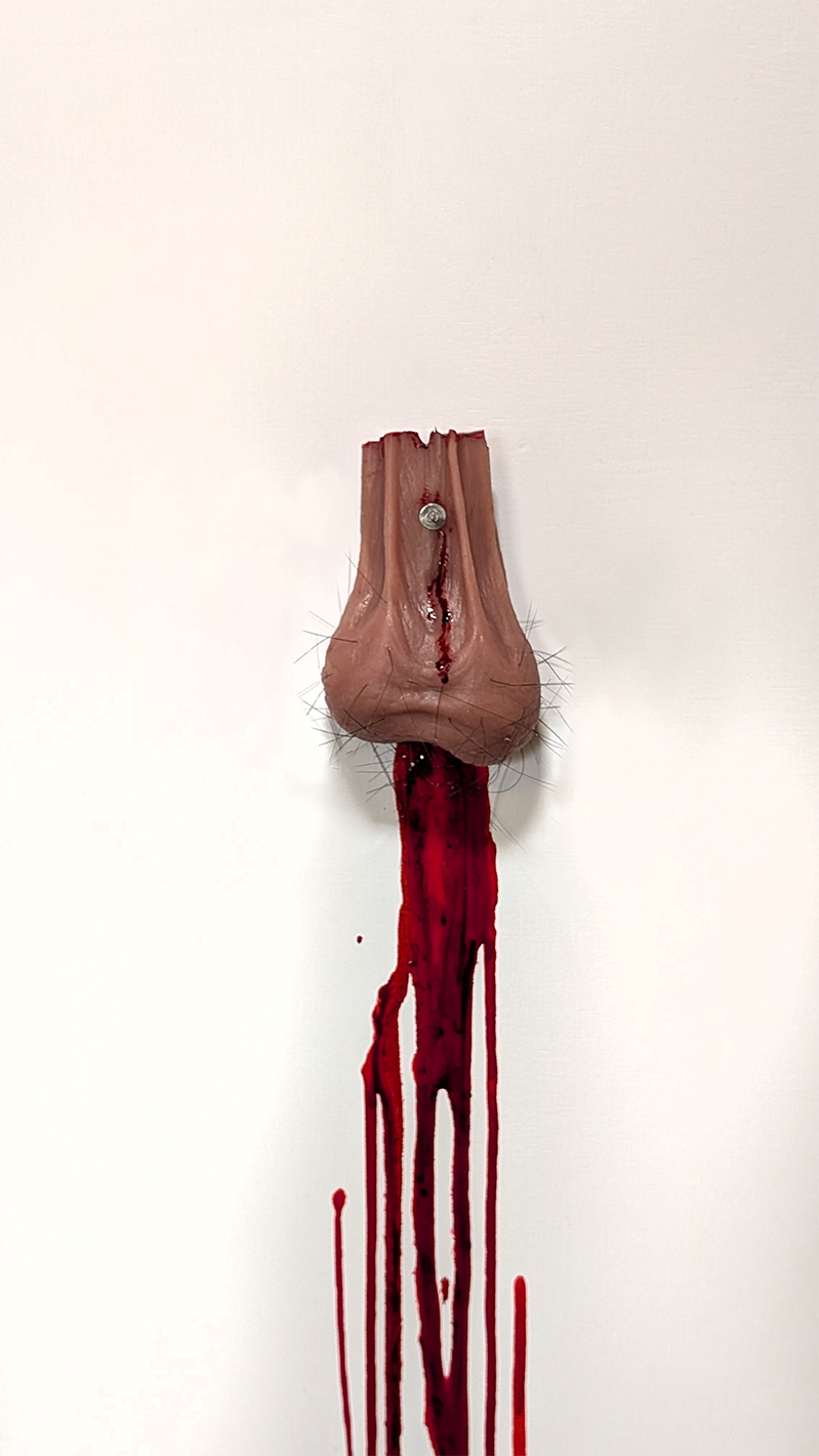 testicles nailed to the wall with blood dripping downward